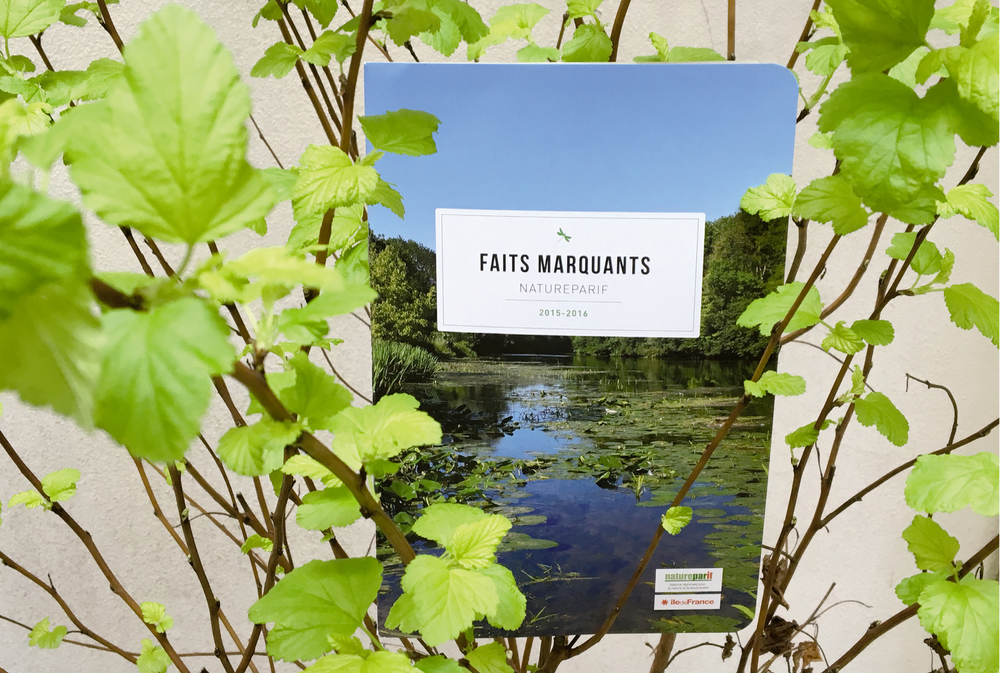 Natureparif - Rapport annuel - LUCIOLE