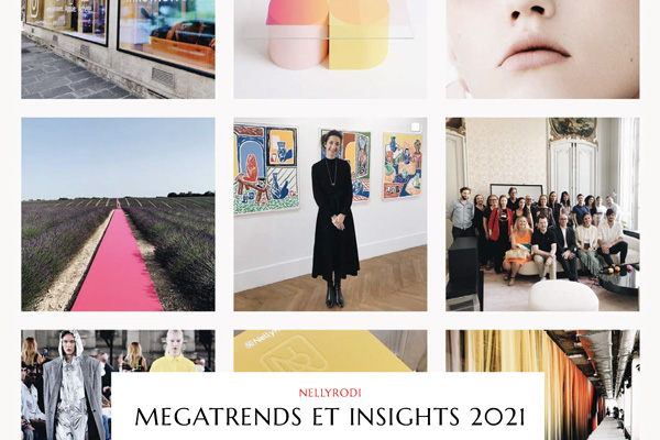 Megatrends et insights 2021 - blog Luciole