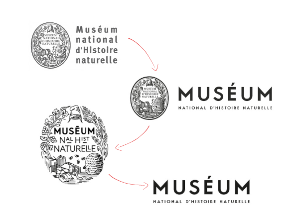 Muséum - Logotype - Identité visuelle - Blog Luciole