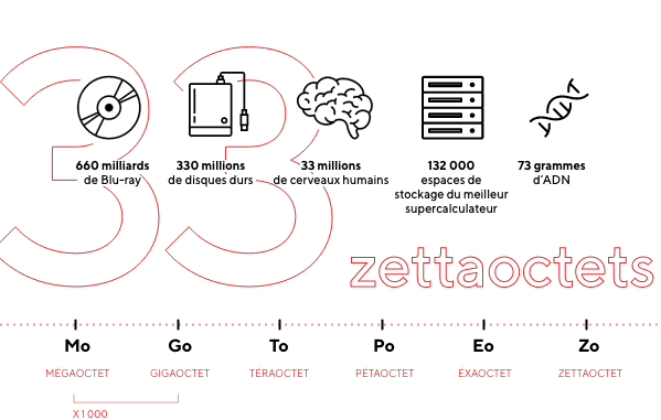 Dataviz - Blog Luciole